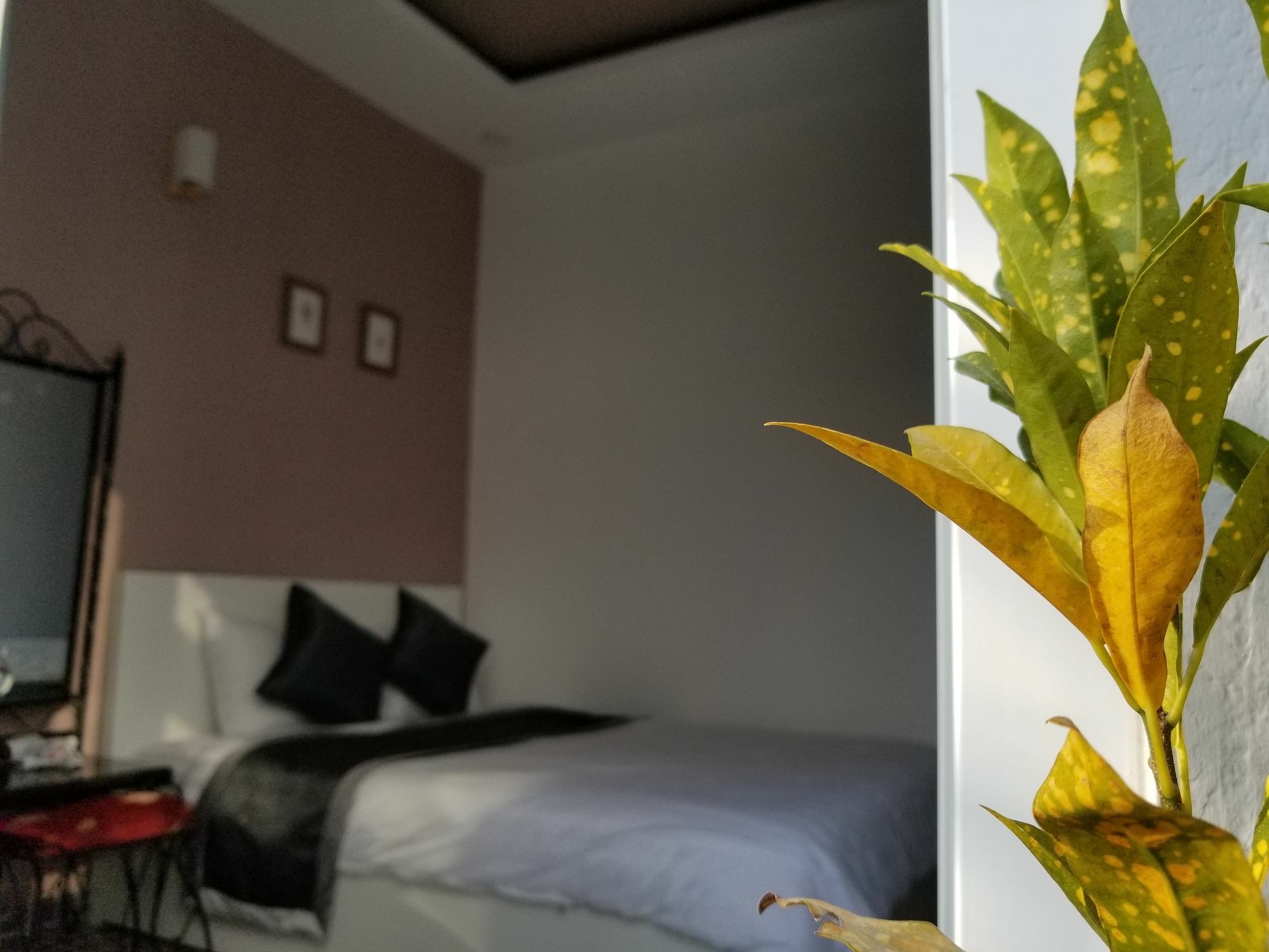 Ribe'S House Apartman Da Lat Kültér fotó